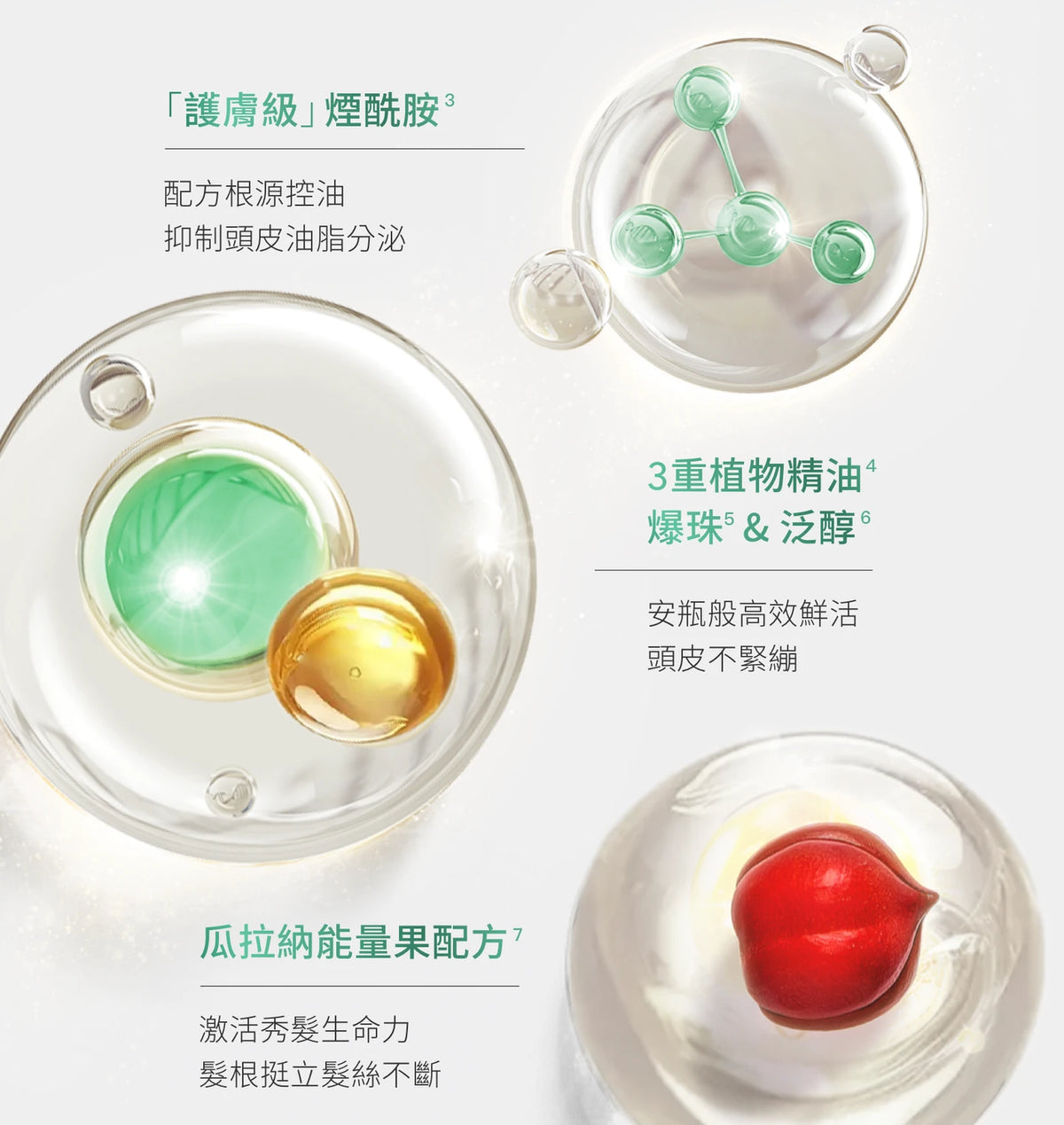 René Furterer FORTICEA Shampoo 50ml,250ml,500ml 活力強韌洗髮露 (延緩脫髮)